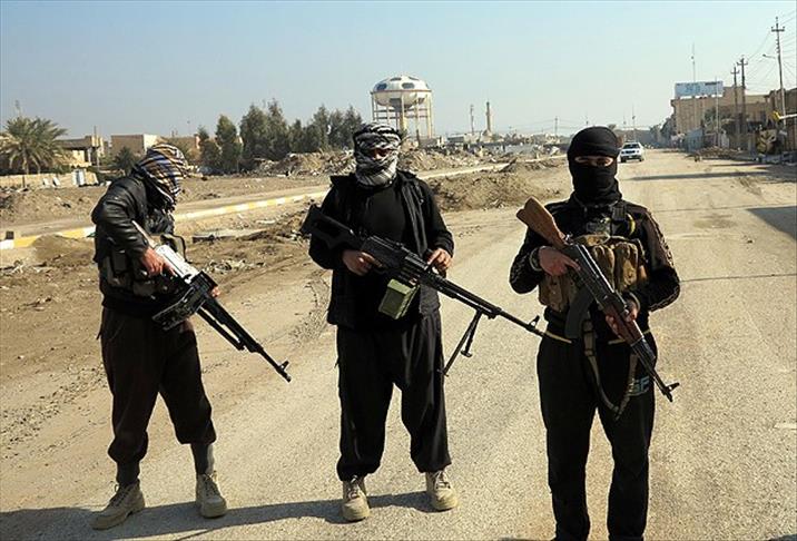Daesh ringleader nabbed in Syria's Aleppo