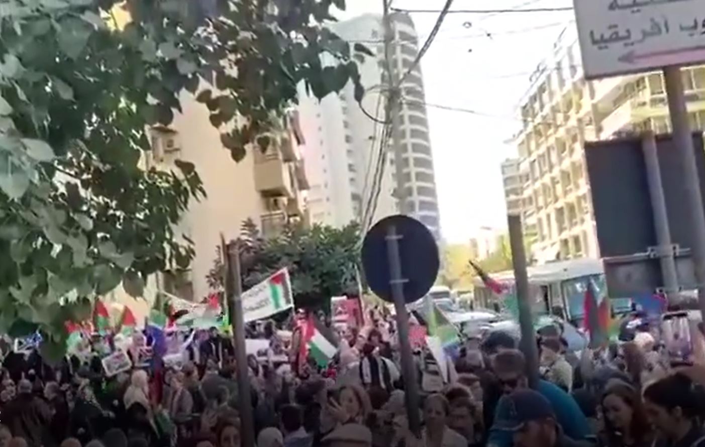 Video: Activists protest outside South African embassy in Beirut against Israeli genocide in Gaza