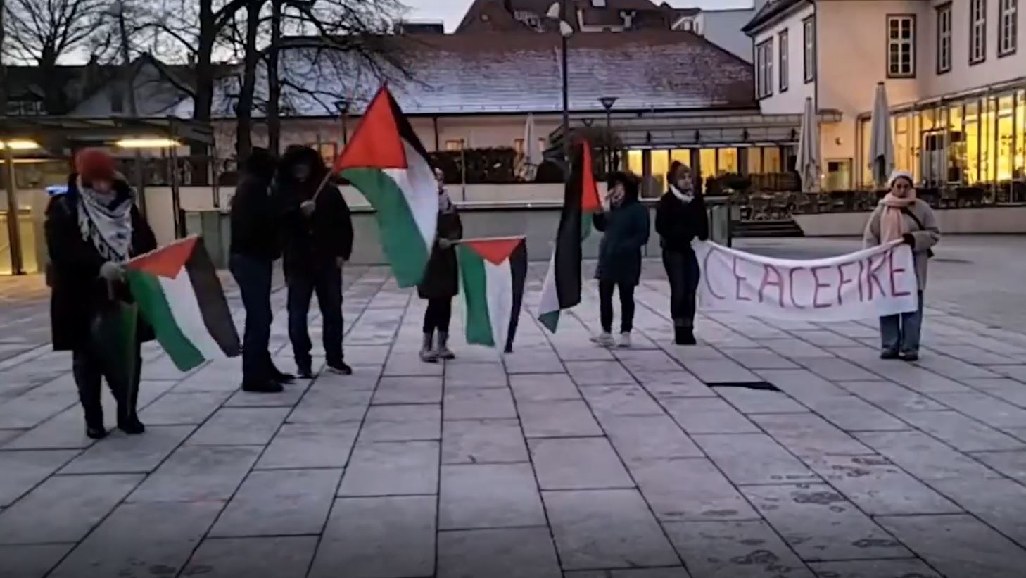 Video: Demonstration in solidarity with Gaza, condemnation of Israeli war in Ludwigsburg, Germany