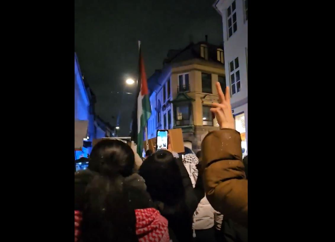 Video: Protesters chanting for Palestine in support of Gaza in Copenhagen, Denmark