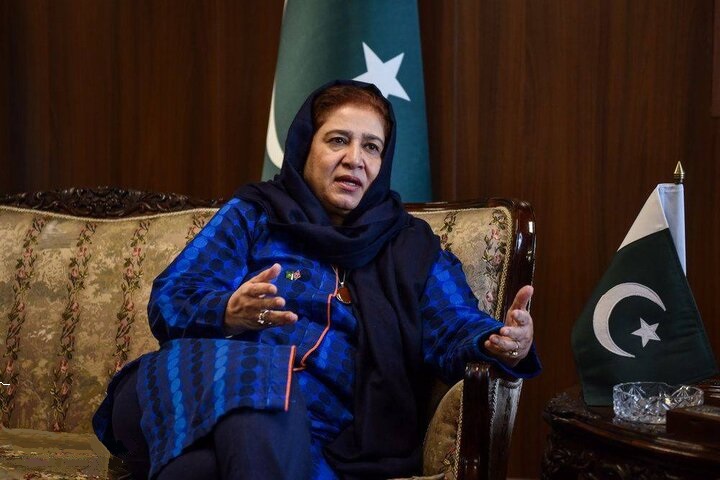 ایران اور پاکستان کے تعلق دشمنوں کے لئے تکلیف باعث ہیں۔۔۔ تہران میں سابق پاکستانی سفیر
