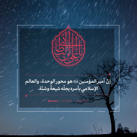 أمير المؤمنين (ع) هو محور الوحدة