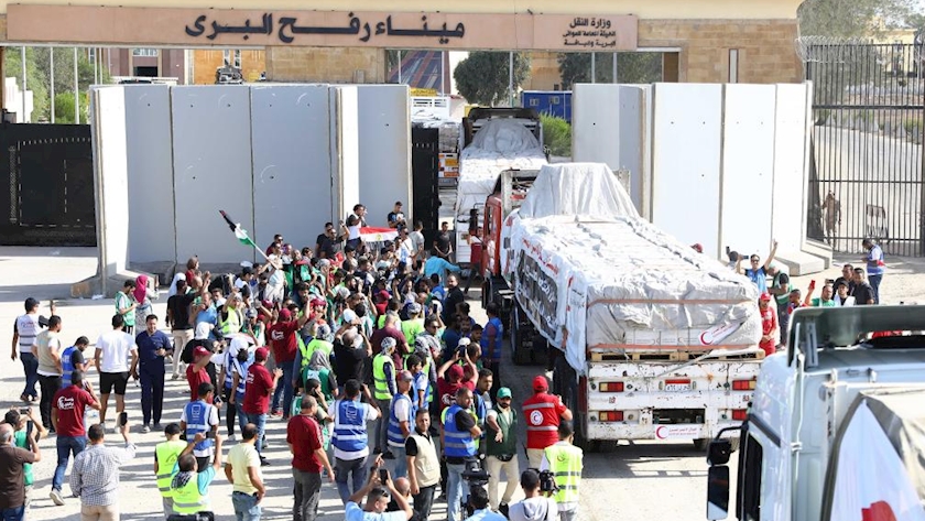 Egypt considers withdrawing ambassador from Tel Aviv
