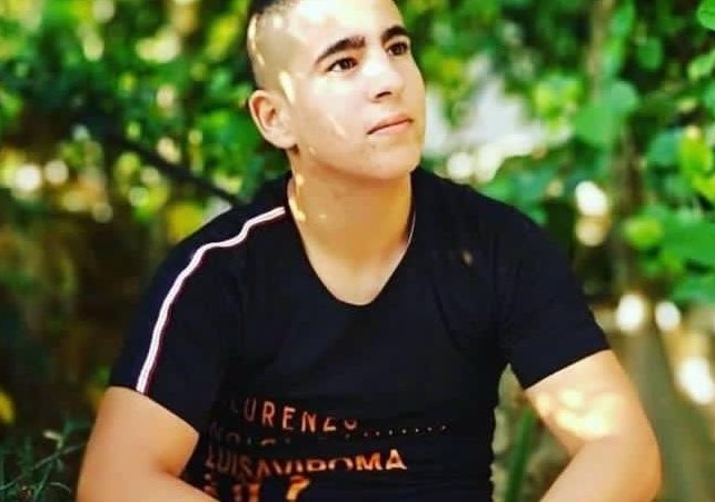 Israeli forces kill Palestinian youth near Jenin