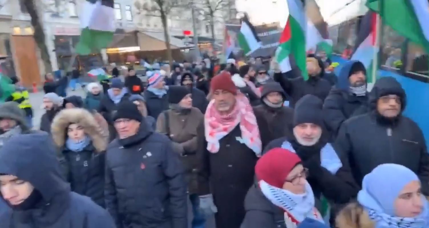 Video: Protesters in Ytterby village, Sweden in support of Palestine, and ceasefire in Gaza