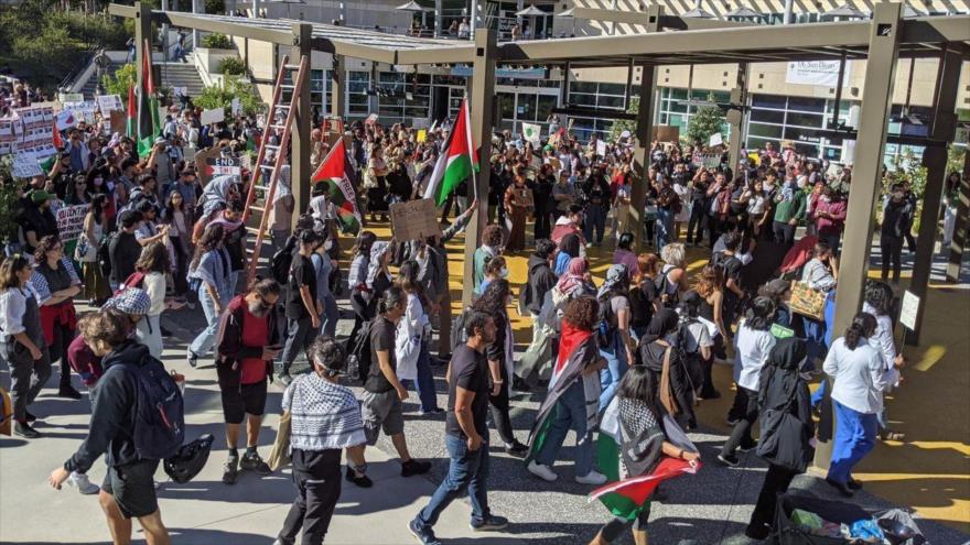 Les marches pro-palestiniennes massives se poursuivent dans les villes occidentales