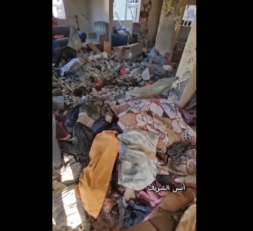 Video NSFW: A new massacre committed by barbaric Zionist regime in Gaza, +70 martyred