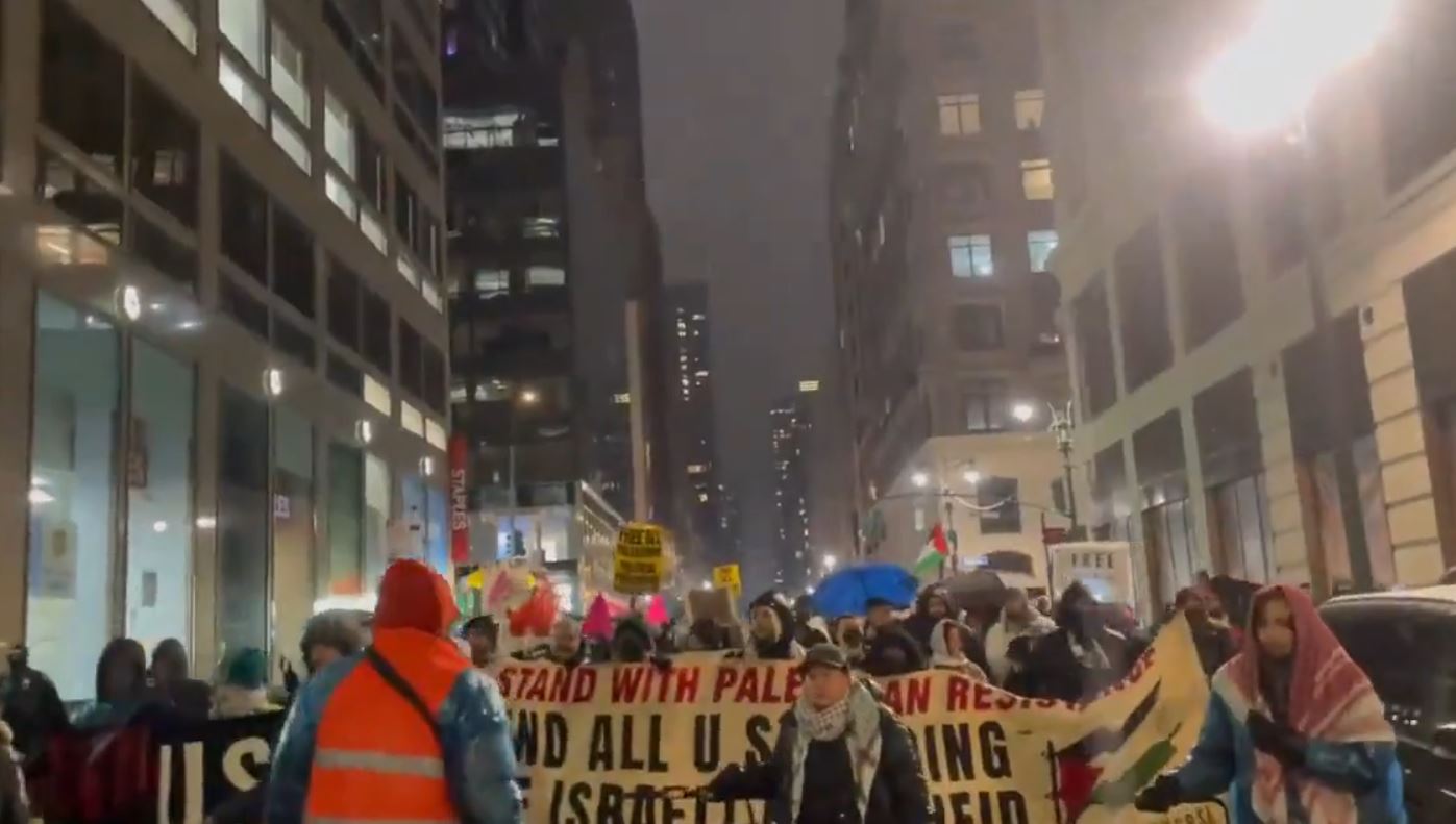 Video: Despite cold and rain, activists in New York protest for Palestine