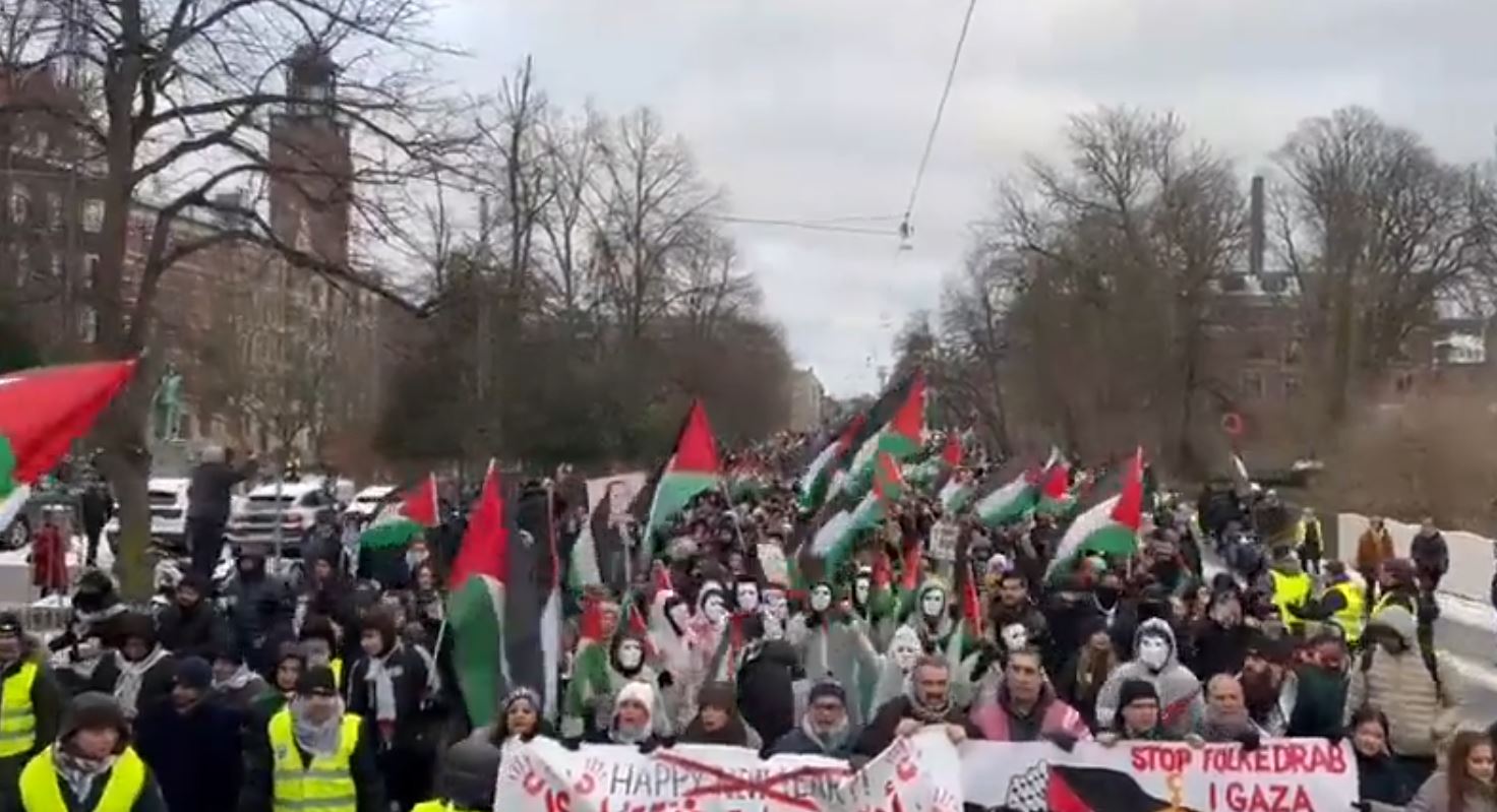 Video: Protest in Danish capital, Copenhagen, expressing solidarity with Palestine