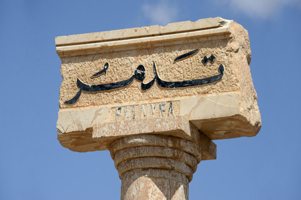 الدفاع السورية : استشهاد 8 عسكريين ومدني باعتداء إرهابي جنوب تدمر