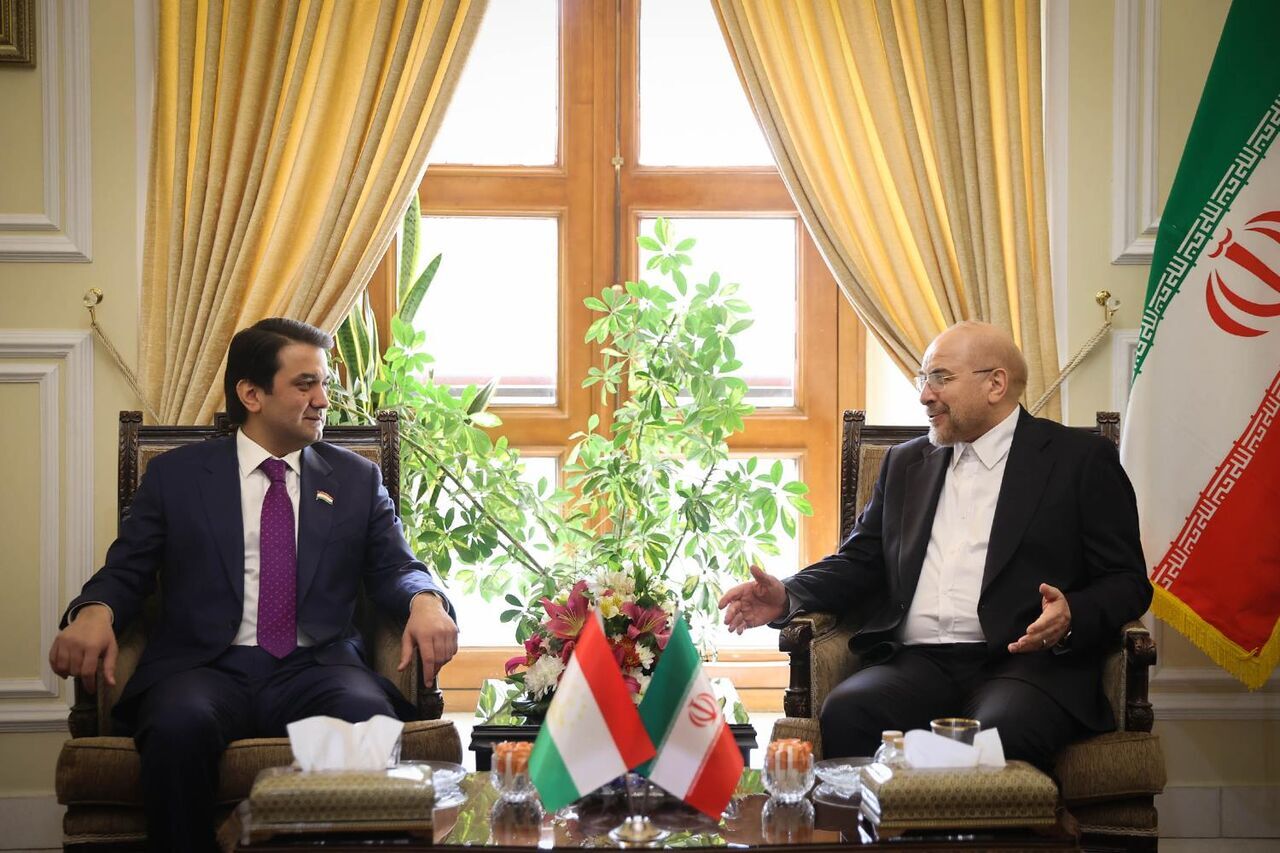 Iranian Parliament Speaker: Daesh looking for insecurity in Afghanistan's neighboring countries