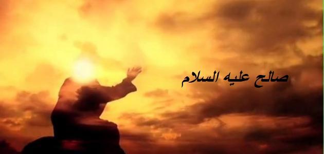 النبي صالح(ع) نبذة عن حياته