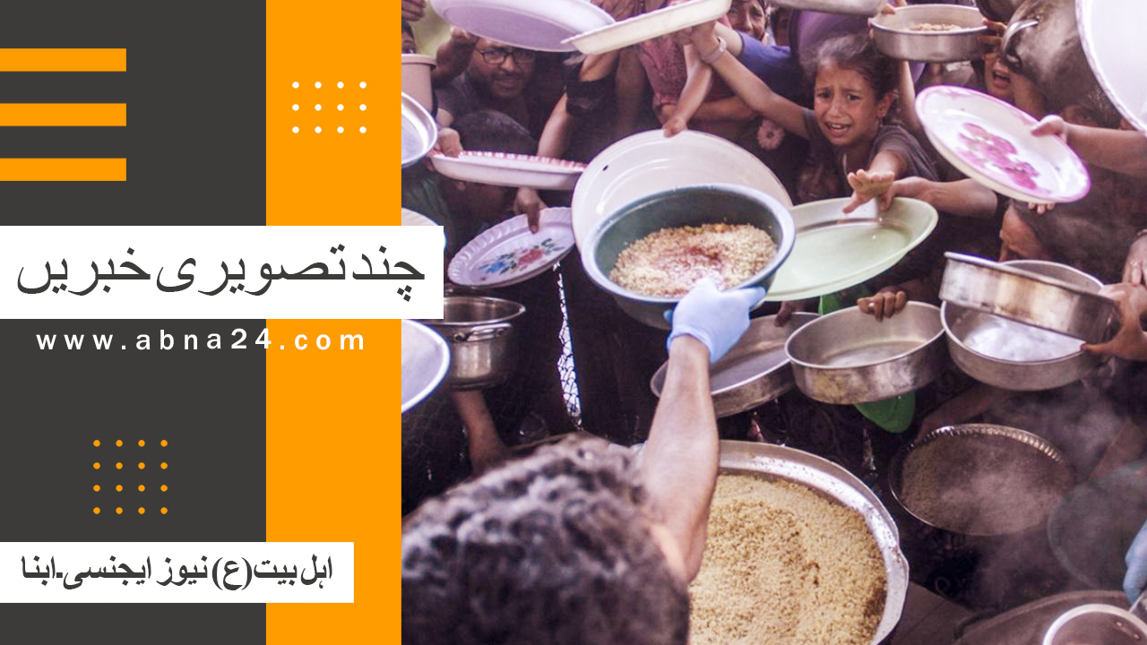 ویڈیو | ابنا کی چند تصویری خبریں