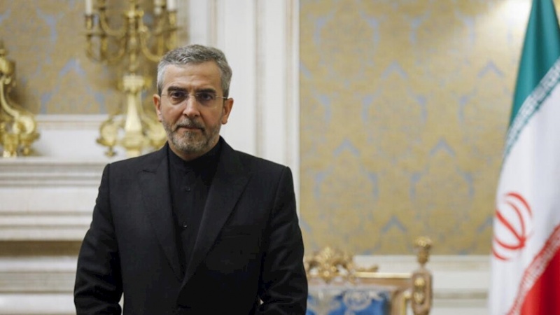 Bagheri: Pelanggaran HAM Iran oleh AS Terus Berlanjut