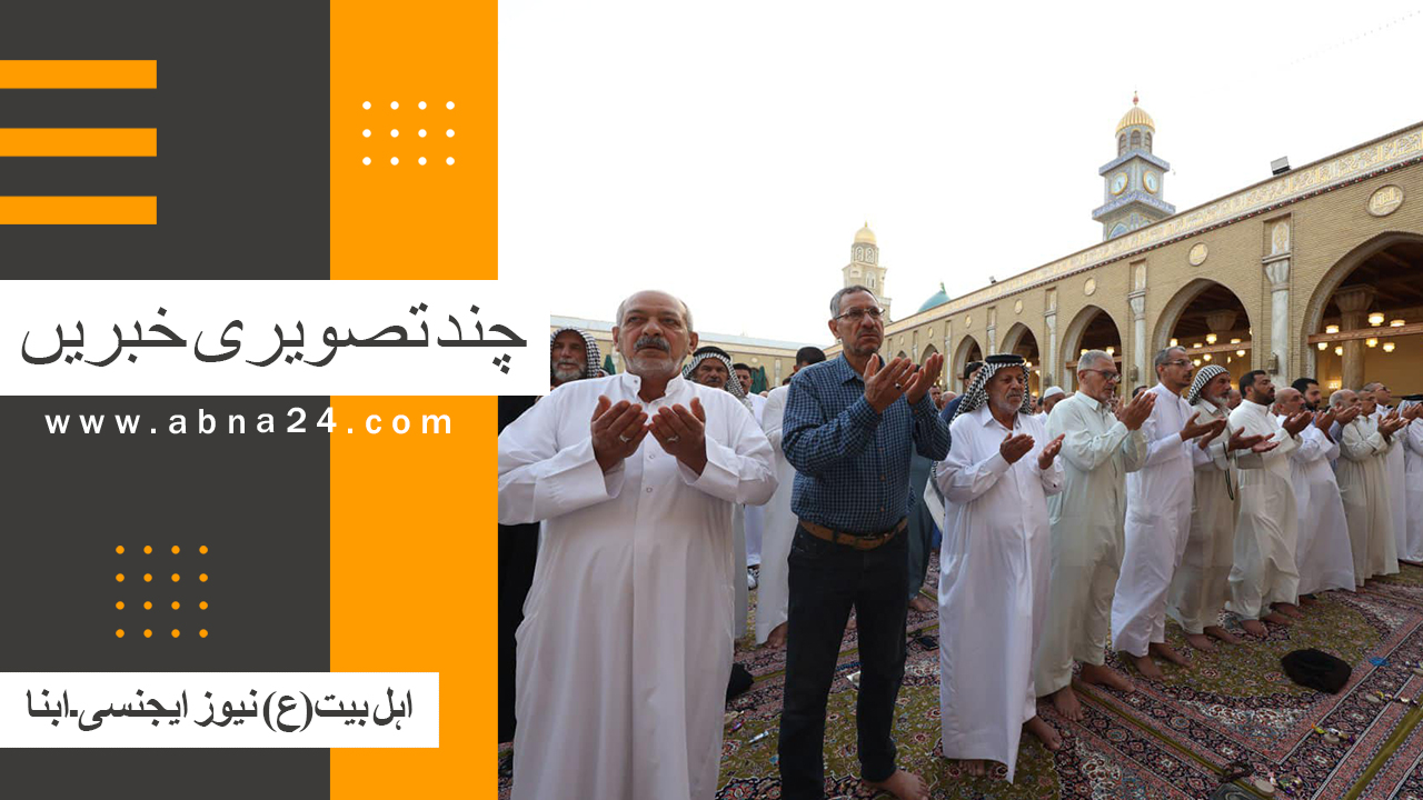 ویڈیو | ابنا کی چند تصویری خبریں