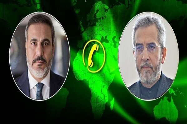 Iranian diplomat urges Islamic states to seize capacities to support Gaza