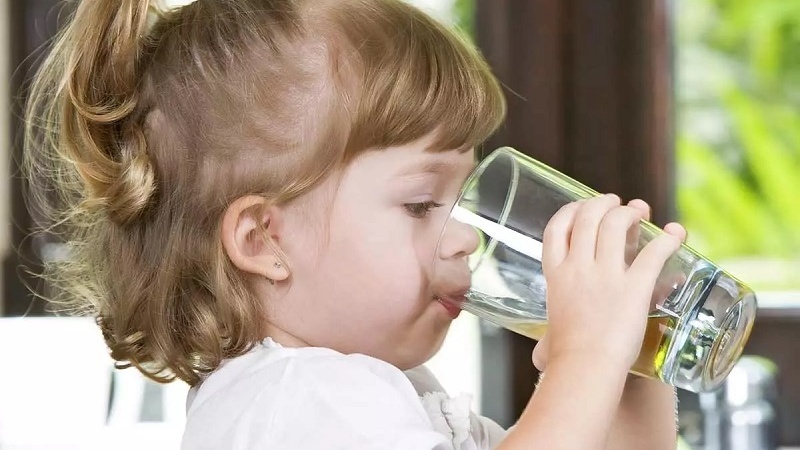 イランが飲料水管理で世界一に、2025年3月末までに国内の1万の村落への給水完了へ