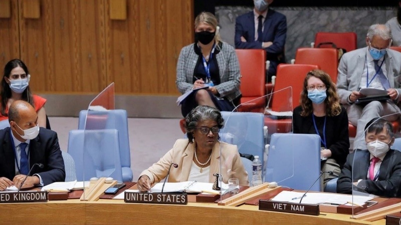 США представили проект резолюции в Совете Безопасности о прекращении огня в секторе Газа