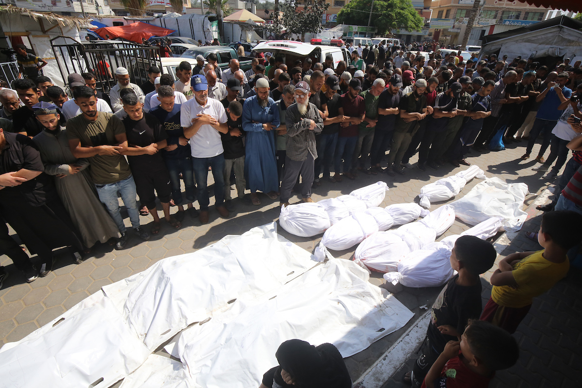 77 Palestinian martyrs in 8 Israeli massacres in Gaza in past 24 hours; death toll reached 36,731
