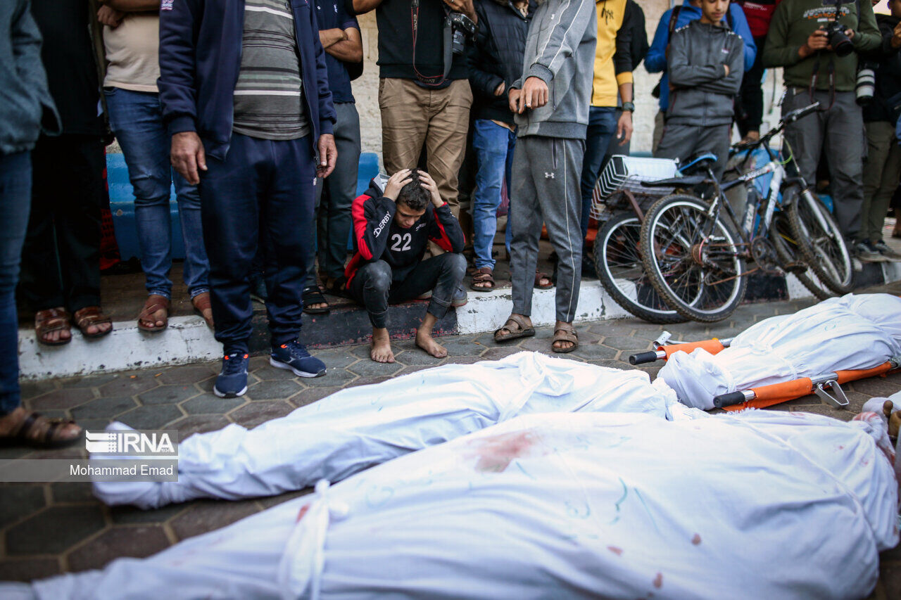 Gaza death toll reaches 31,341 martyrs