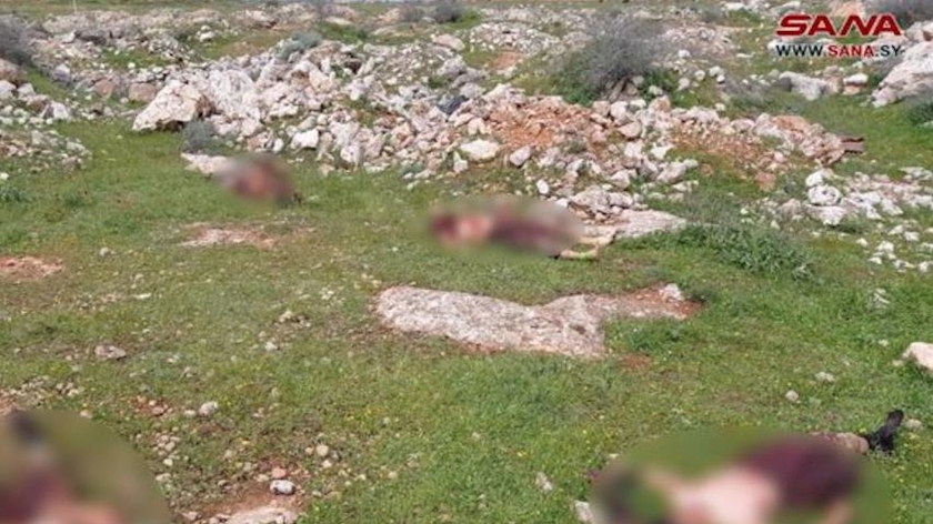  Syrian army eliminates 'Al-Nusra terrorists' in Aleppo
