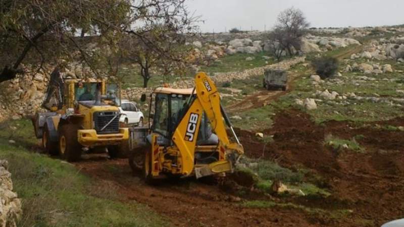 قوات العدو تجرف أراضي الفلسطينيين وتقتلع 400 شجرة زيتون غرب بيت لحم