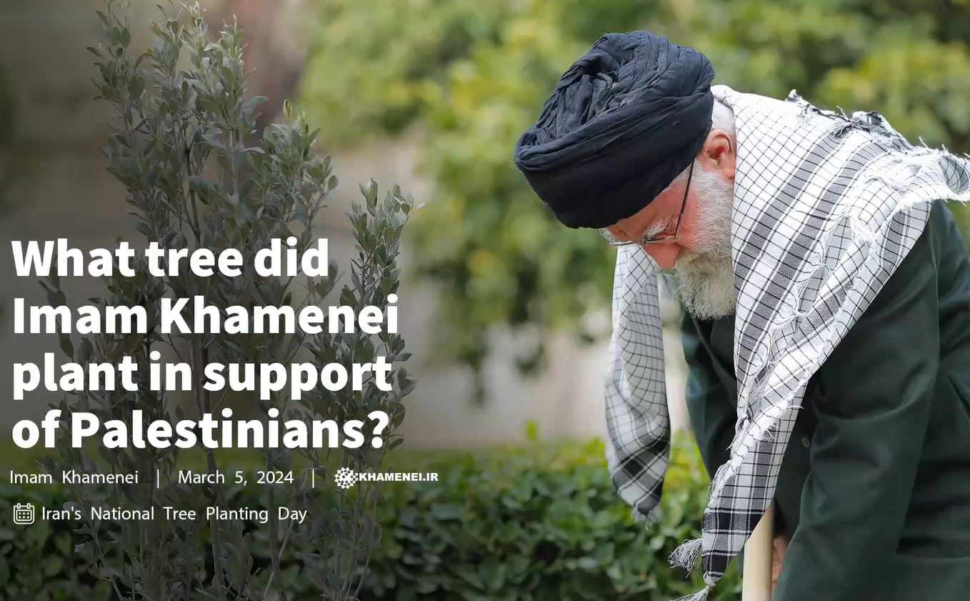 Video: What tree did Imam Khamenei plant in support of Palestinians? 
