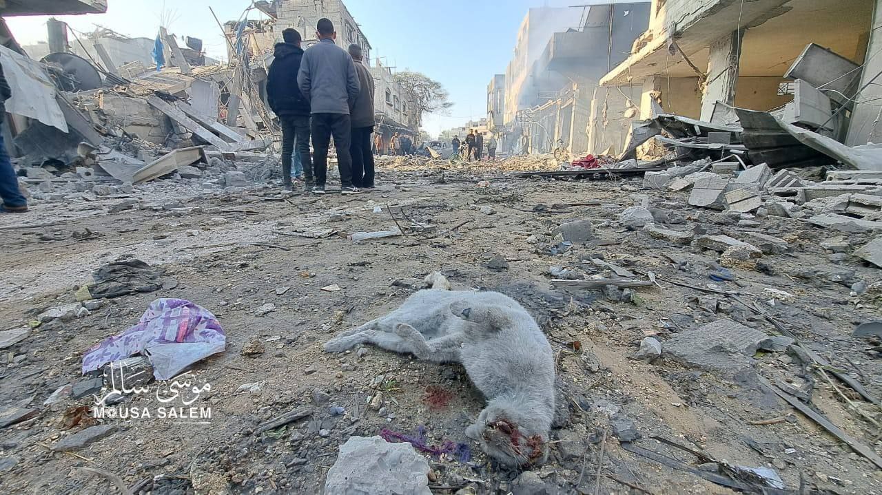 Euro-Med warns of escalating environmental catastrophe in Gaza