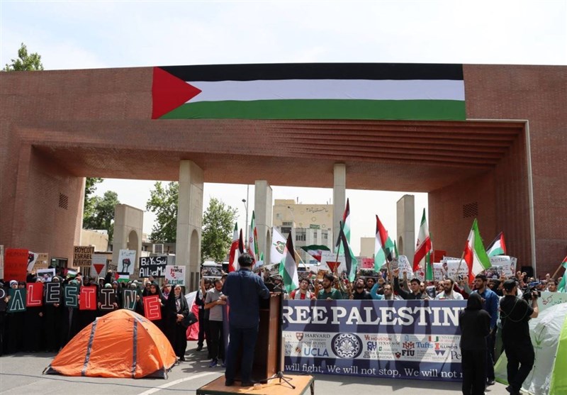 تجمع أكاديمي في جامعة شريف لدعم الطلاب الأمريكيين الداعمين لفلسطين