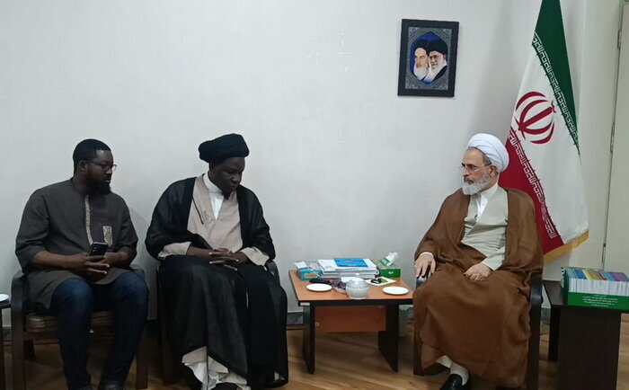 Malian Shia cleric: Islamic Revolution introduced African continent to AhlulBayt, Shia school
