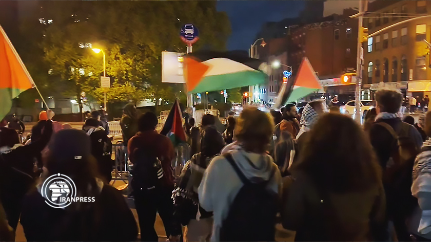 Supporters of Palestine stage rally in New York