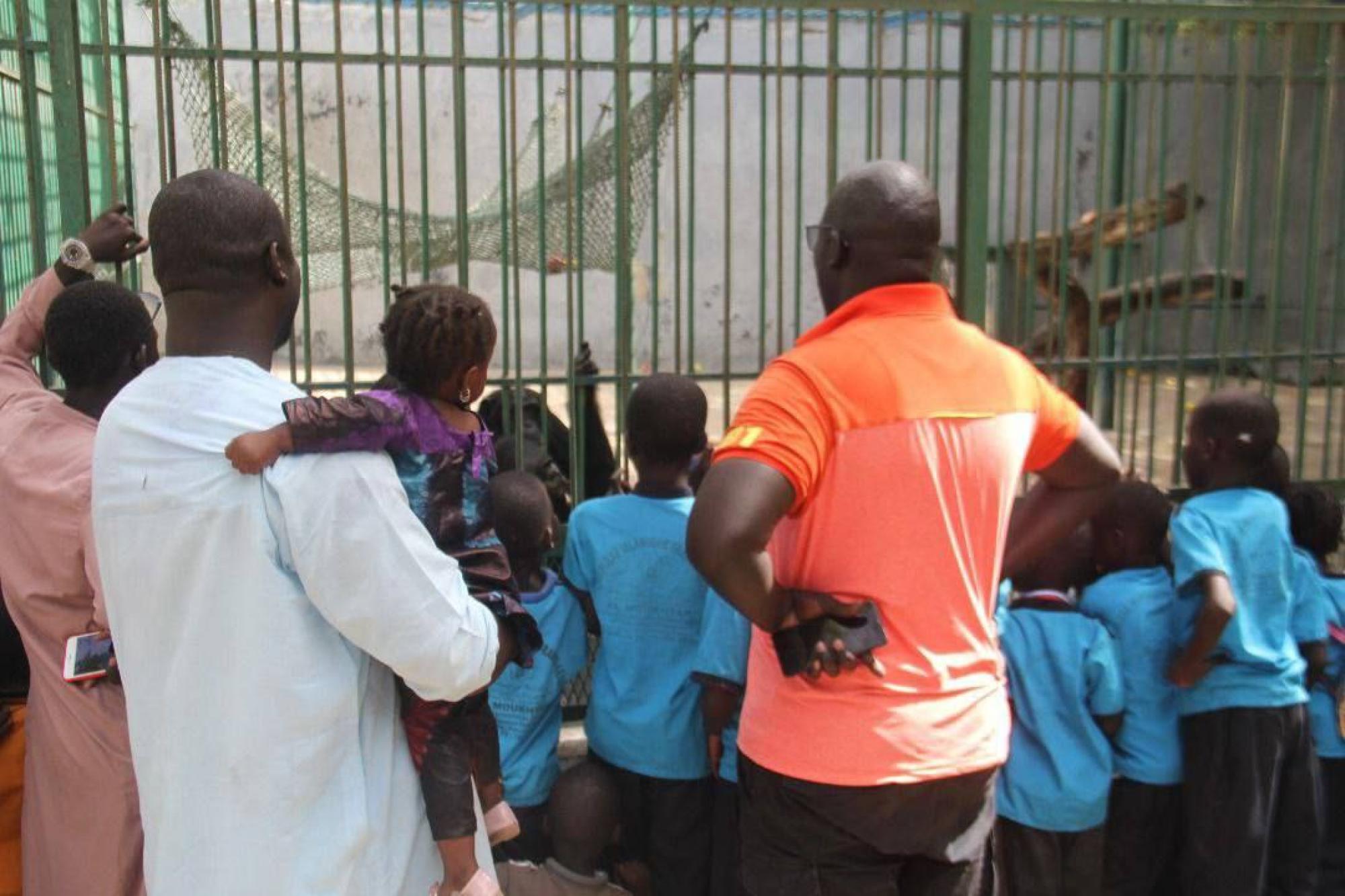 Al-Abbas shrine holds an entertainment and educational program for students in Senegal (+Photos)