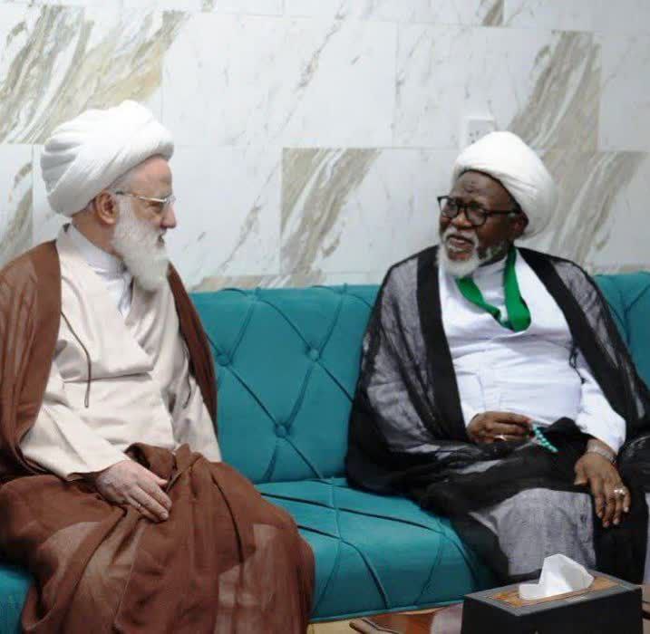 Ayatullah Sheikh Muhammad Ya'aqoubi: Wajen Gudanar Da Tabligi, Ya Kamata A Yi Amfani Da Kayan Aiki Masu Tasiri Dai-dai Da Bukatun Zamani