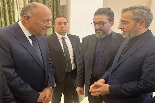  Egyptian FM: "Presence in Iran to offer condolences necessary"
