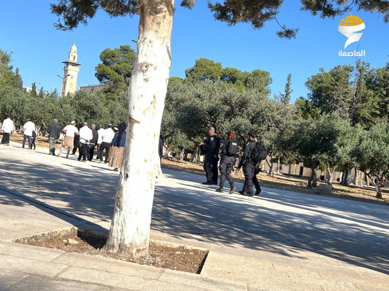 Israeli police brutally assault, arrest Russian worshiper at Aqsa Mosque