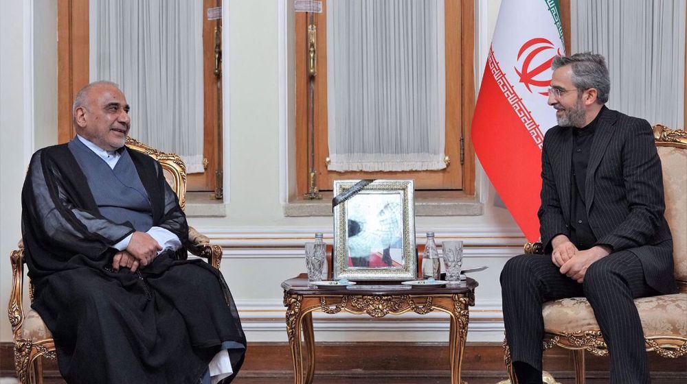 Iran's acting FM urges Muslim elite’s pressure on Israel to end Gaza brutalities