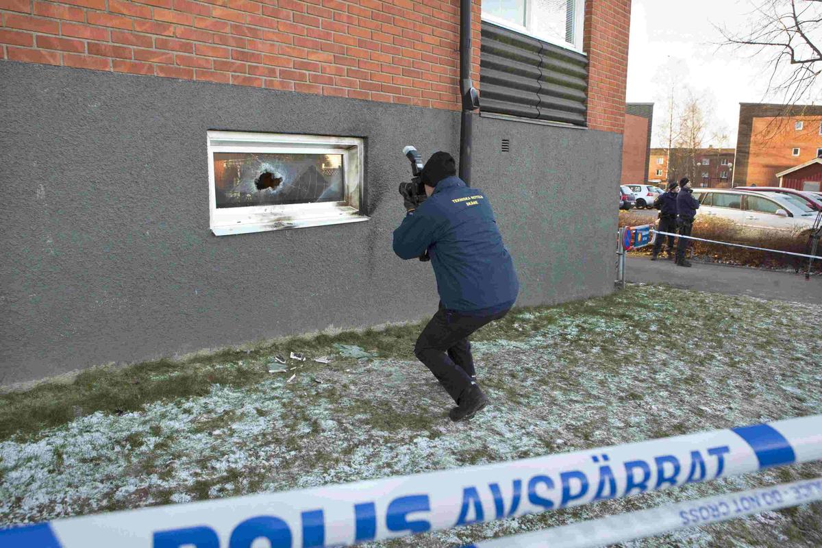 Islamophobia: Dead boar dumped at Swedish mosque 