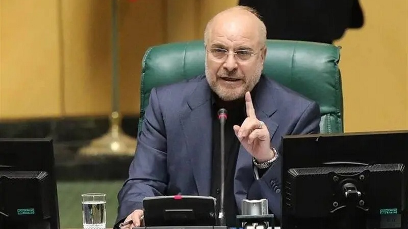Спикер иранского парламента: сионистская жестокость в Рафахе должна быть остановлена