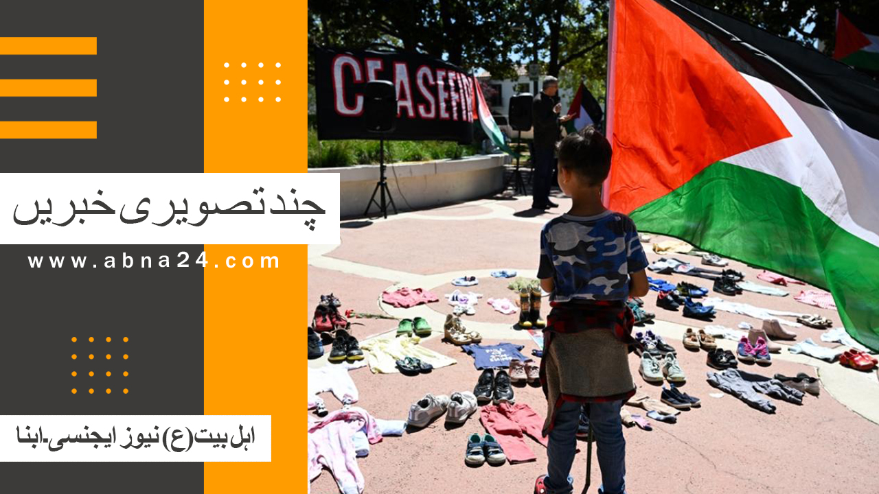 ویڈیو | ابنا کی چند تصویری خبریں