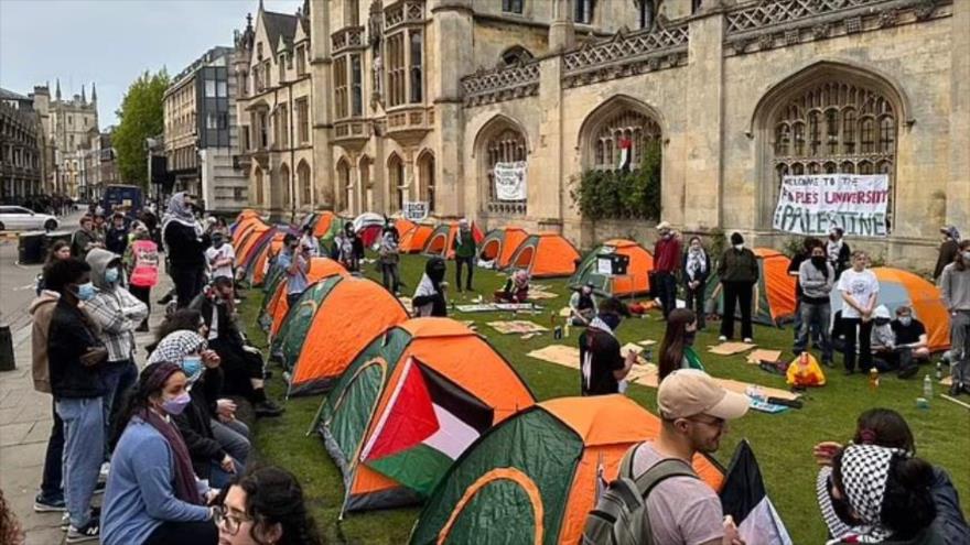 Des étudiants du Royaume-Uni et de Suisse campent en soutien à Gaza