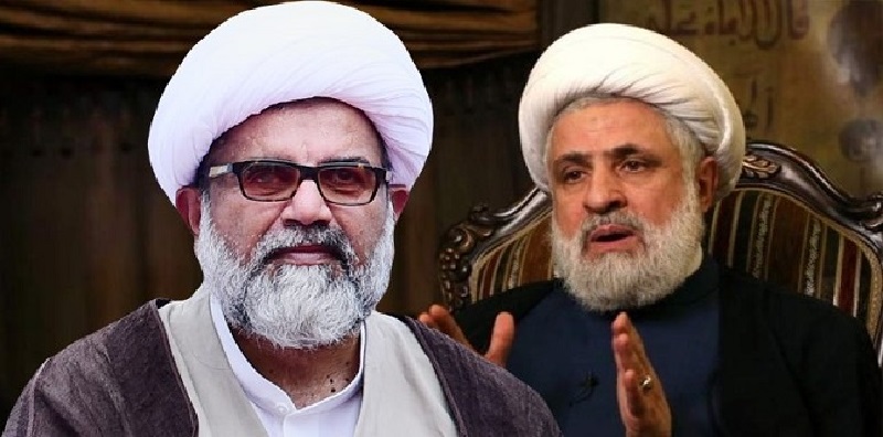 حزب اللہ لبنان ہی کے لئے بلکہ پورے خطے کے لئے لڑ رہی ہے، سینیٹر راجہ ناصر جعفری