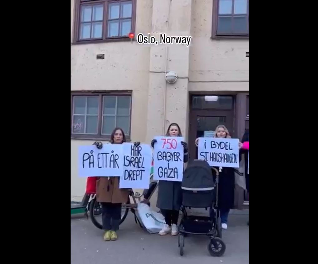 Video: In Oslo rally: "In one year, Israel has killed 750 babies in Gaza"