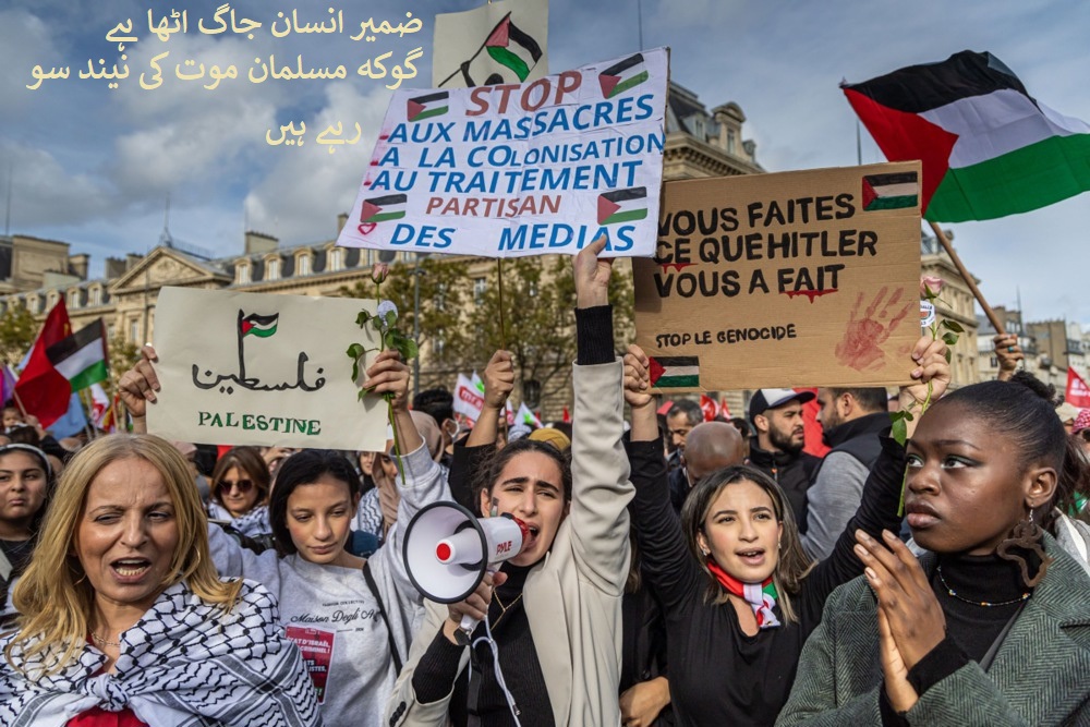 فرانسیسی عوام کی فلسطین کے ساتھ بیعت اور اسرائیل سے نفرت + تصویر اور ویڈیو