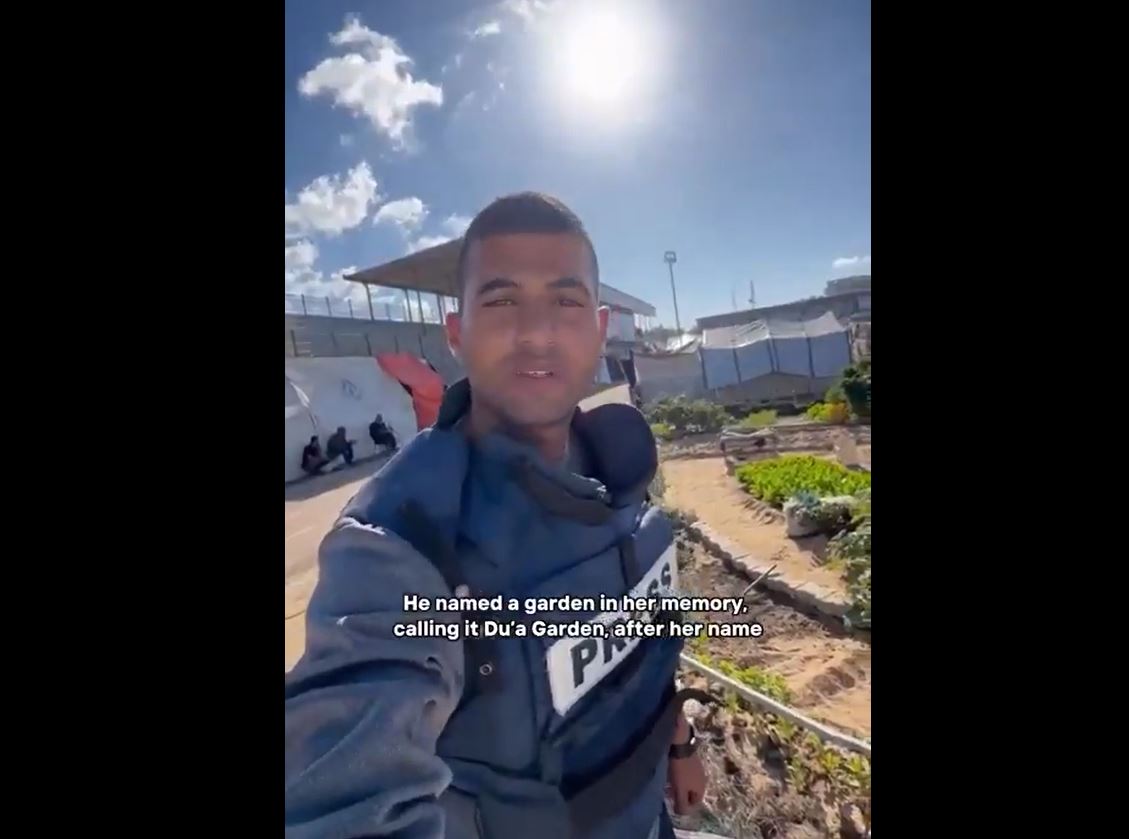 Video: Amid ongoing Israeli war of hunger, a displaced Gazans successfully managed to grow plants 