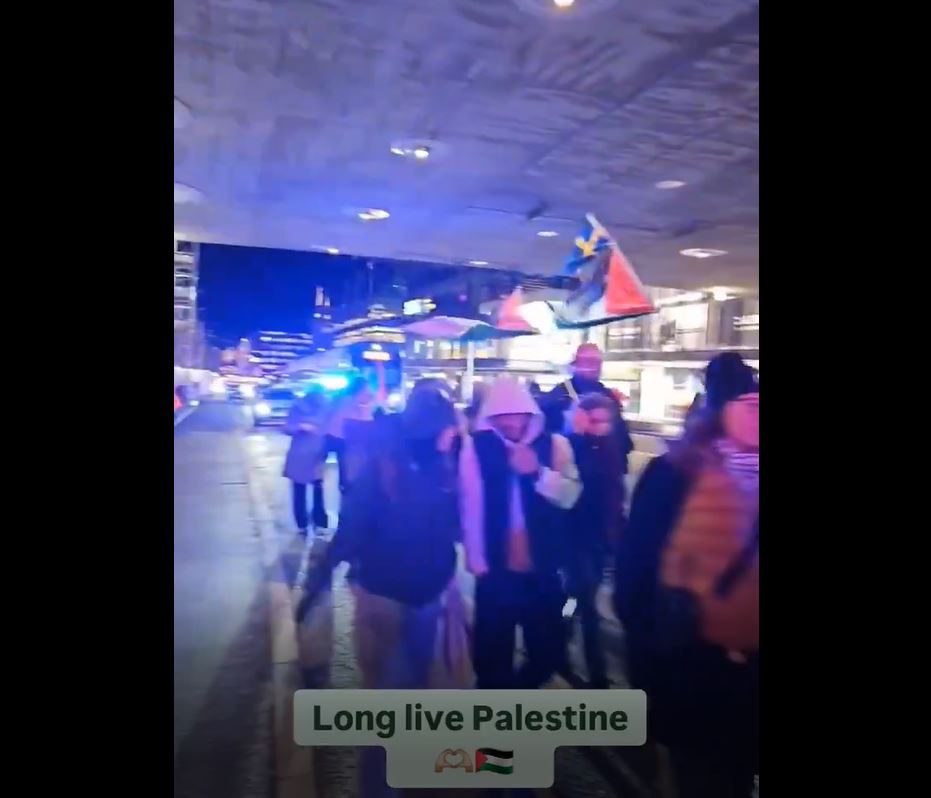 Video: Dozens protest in Stockholm, Sweden demanding end to ongoing Israeli genocide in Gaza