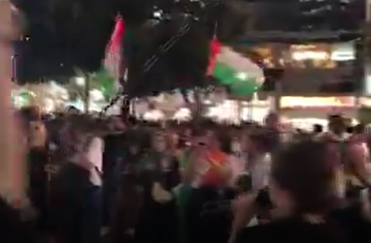 Video: Massive rally for Palestine in Hachiko Square in Tokyo, Japan