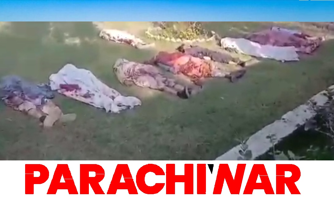 پاراچنار: شیعہ مسافروں کے قافلے پر دہشت گردانہ حملے میں خواتین اور بچوں سمیت 42 افراد شہید اور متعدد زخمی ہوگئے ہیں / ویڈیو لنک 