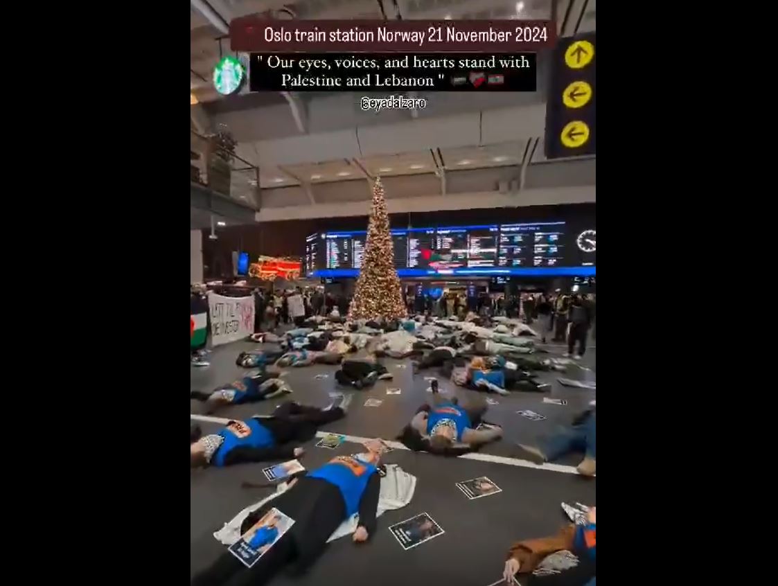 Video: Activists protest at Oslo train station against Israeli attacks on health workers and journalists in Gaza and Lebanon