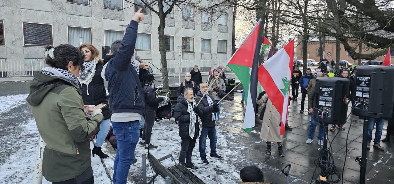 Orhusun soyuq havasında anti-sionistlərin Qəzza və Livanla həmrəylik üçün kütləvi yürüş / Video