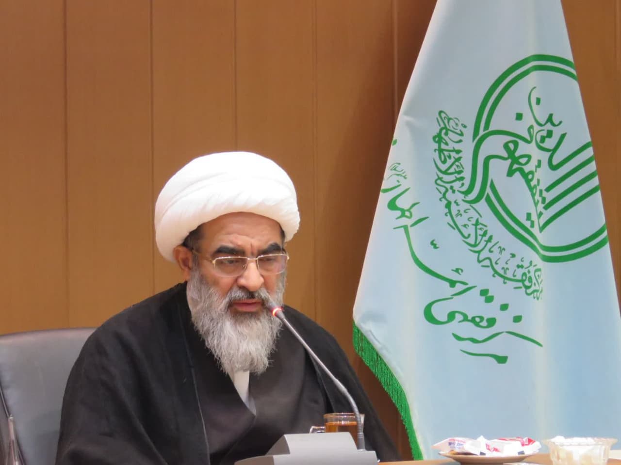 آیت الله فاضل لنکرانی: حضرت فاطمه(س) از یک افق علمی بسیار والایی برخوردار است/ لزوم گسترش ایام فاطمیه